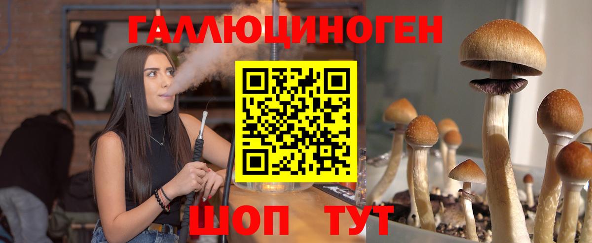 Псилоцибиновые грибы мухоморы  Вход с VPN  Нижнеудинск 