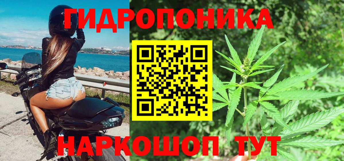 Канабис ГИДРОПОН Нижнеудинск